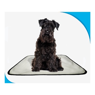tapete canino higiênico lavável pet 1 un M - 60 x 80 cm em Oferta na Shopee