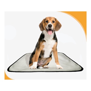 tapete higiênico canino absorvente pet 1 un M - 60 x 80 cm em Oferta na Shopee