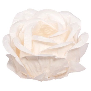 Forminha para Doces Finos - Magnólia Creme - 30 unidades - Decora Doces - Rizzo Festas em Oferta na Shopee