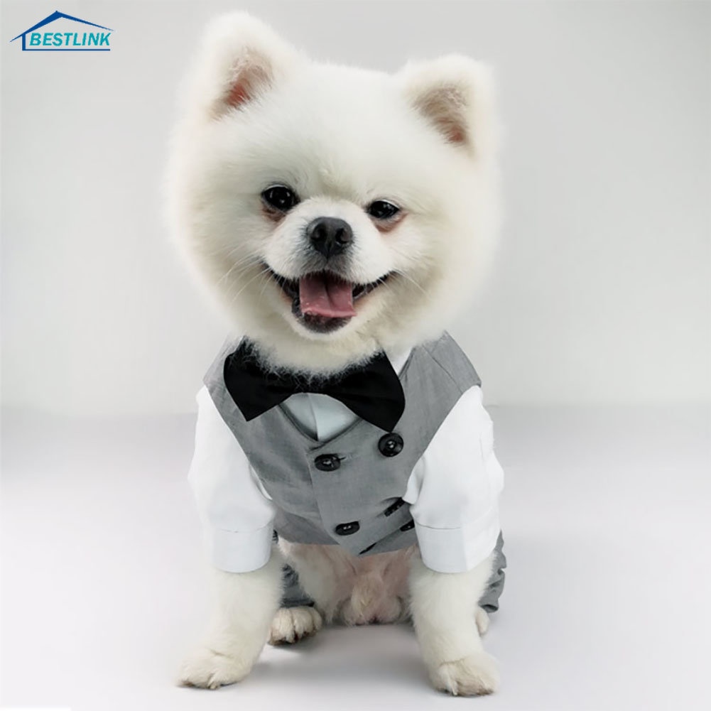 Macacão Para Animais De Estimação Fantasia Cavalheiro Gravata Tuxedo Gato Roupas De Cachorro Casamento Traje Pequeno
