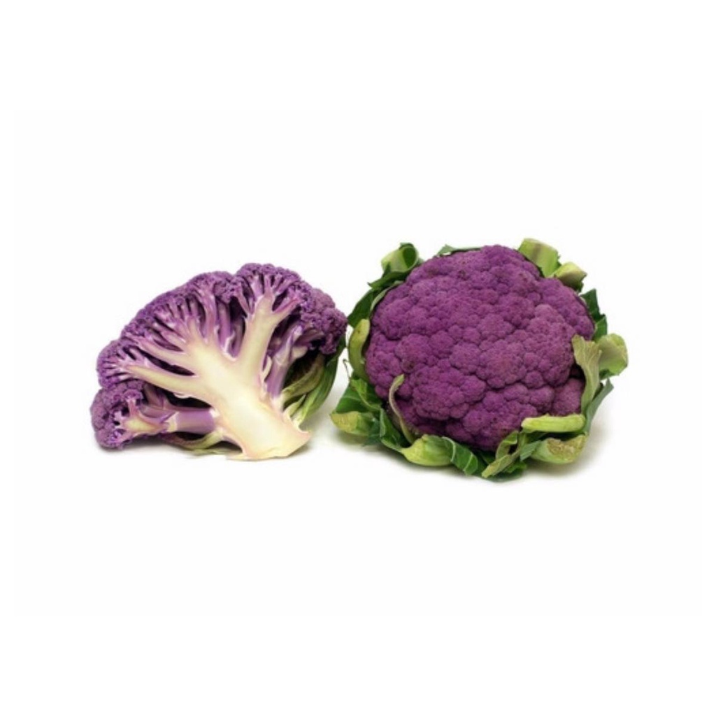 Sementes de Couve-Flor (Roxa) ISLA em Oferta na Shopee