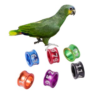 50pçs/10pçs Faixa De Perna Para Aves 7mm 6mm 5mm 4.7mm 4mm Anel ALBS Cocatiel Lovebird Pombo De Papagaio Número De Cor Aleatória