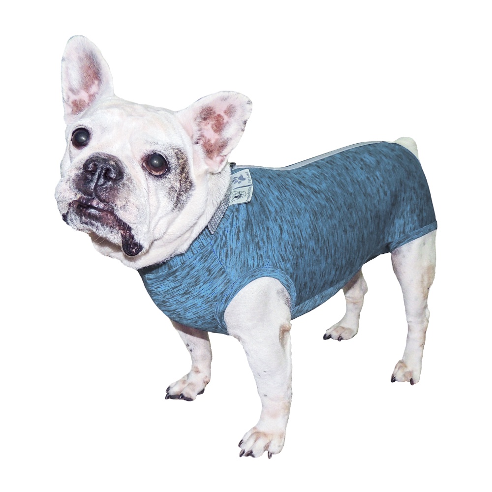 Roupa de Castração Fit para Buldogue Francês Macho - Azul GG