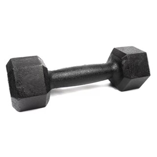 Halter Sextavado 2kg Pintado - Unidade Treino em Casa Academia Musculação Crossfit e Funcional | Iniciativa Fitness