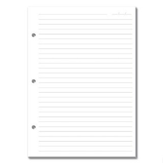 Refil Caderno Argolado Fina Ideia Pautado 50FL 90g