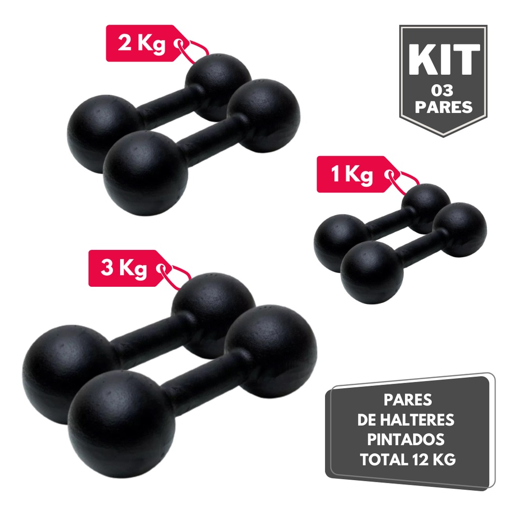Kit Par Halter Bola Pintado 1 2 e 3 Kg - Total 12 Kg