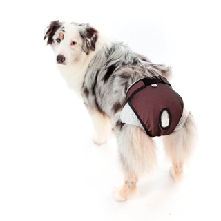 Protetor Higiênico P/ Fralda E Cio Cão Reutilizável em Oferta na Shopee