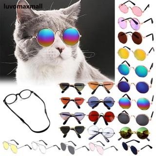 Óculos para Pet Animal de Estimação gato cachorro coelho de mini e pequeno porte
