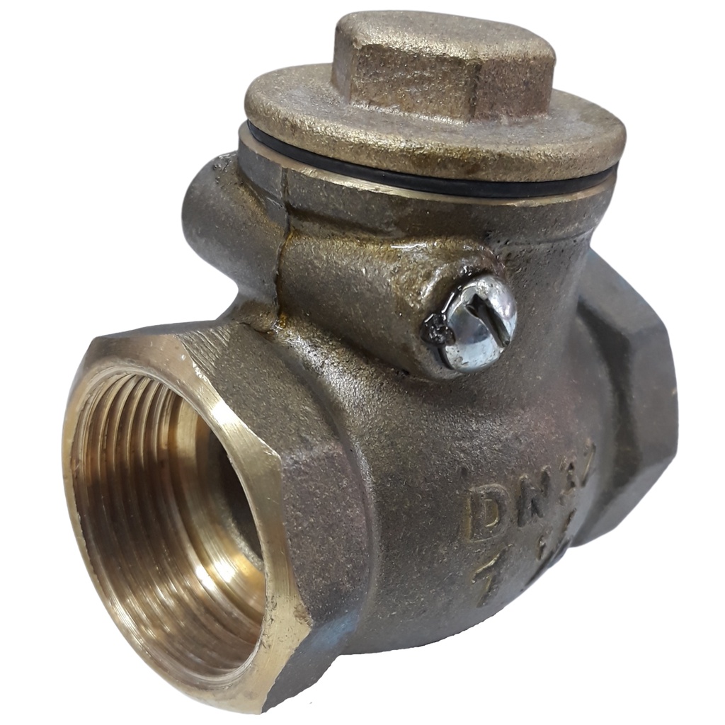 Valvula Retenção Dagua 1 1/4 Horizontal De Metal Com Portinhola De Vedação - 114