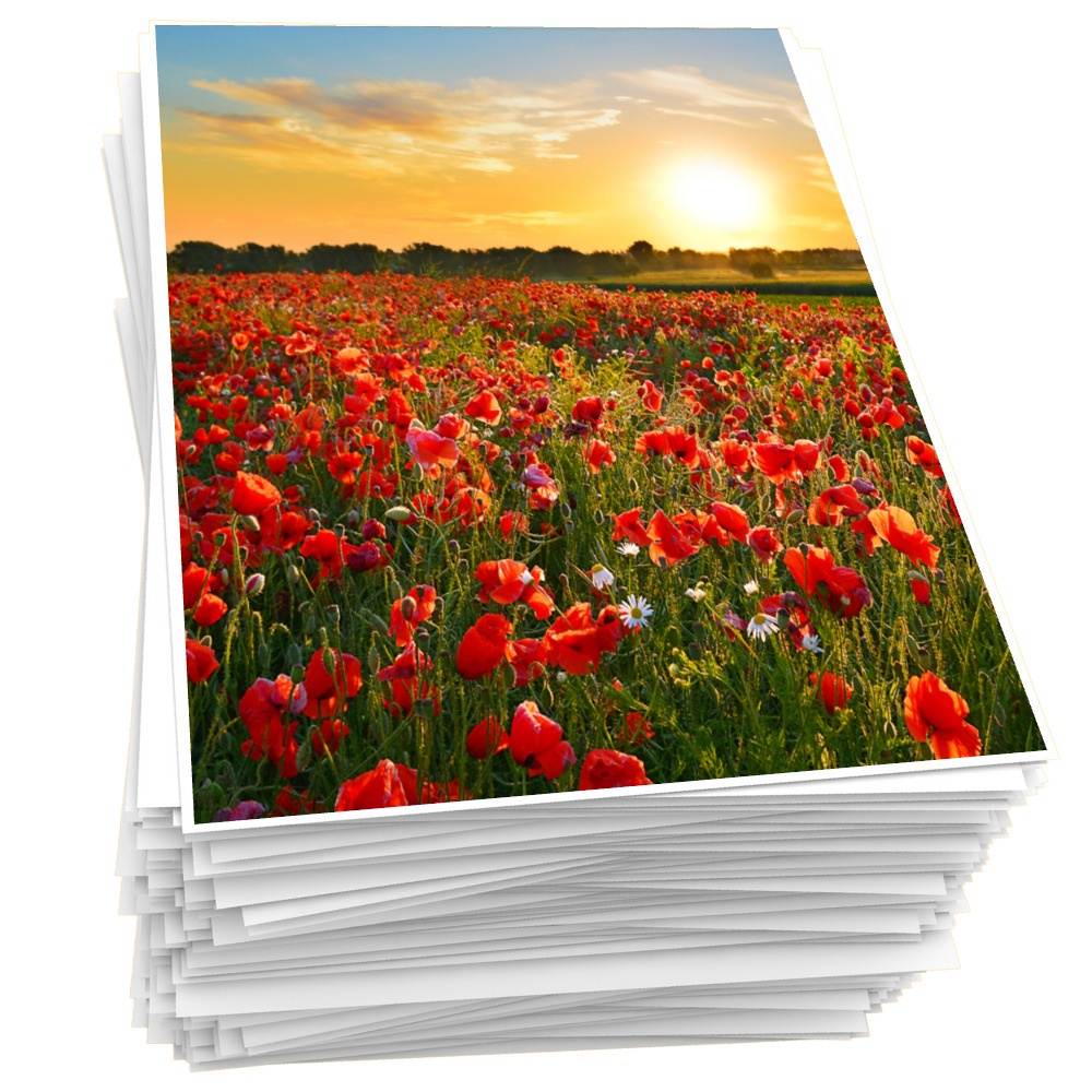Papel Fotográfico 230g A4 Glossy Brilhante Foto 20 Folhas Premium Masterprint em Oferta na Shopee
