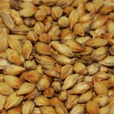 Malte Maltear Munich - 1kg em Oferta na Shopee