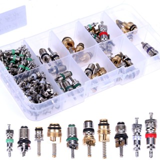 100 Pcs R134A Válvula de Núcleo de Carro A/C Kit de Triagem de Ar Condicionado Automotivo Acessórios Automotivos 8MRO