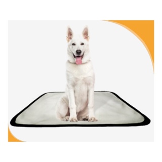Tapete de treinamento canino  lavável 1un M - 60x80 cm em Oferta na Shopee
