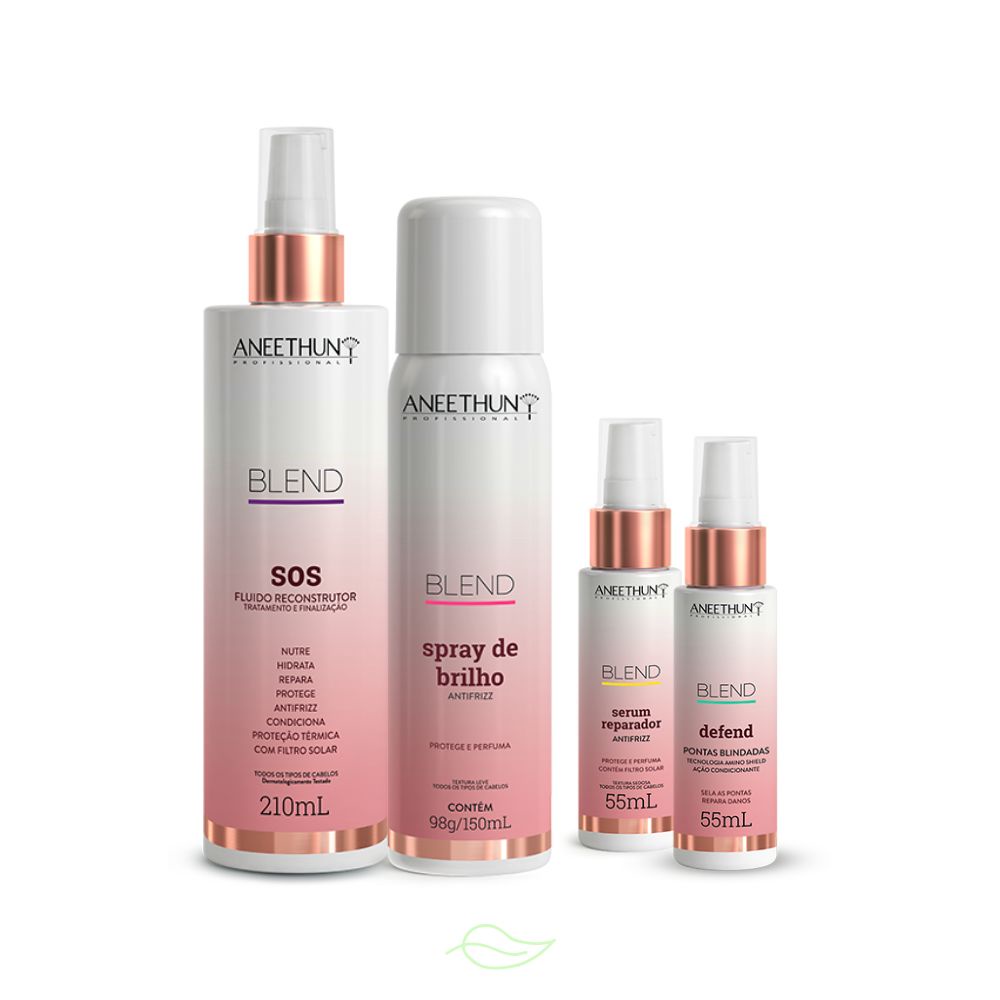 Kit Blend Aneethun Com 4 Produtos Tratamento Multicuidados