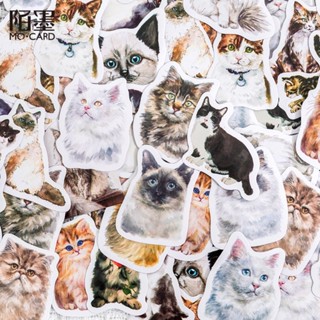 46 Pcs Adesivos Para Livros De Recortes De Tamanho Pequeno Decoração De Gatos Bonitos Planejadores De Laptops Cadernos De Anotações Álbum