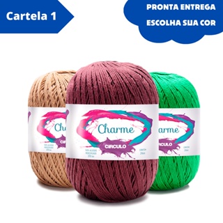Linha Fio Charme Marca Circulo 396m 150g - Cores - Crochê / Tricô / Amigurumi em Oferta na Shopee