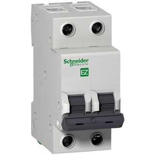 Disjuntor Bipolar EZ9F332 Schneider Easy9 | Termomagnético Curva C 10A a 50A p/ Painel Elétrico em Oferta na Shopee