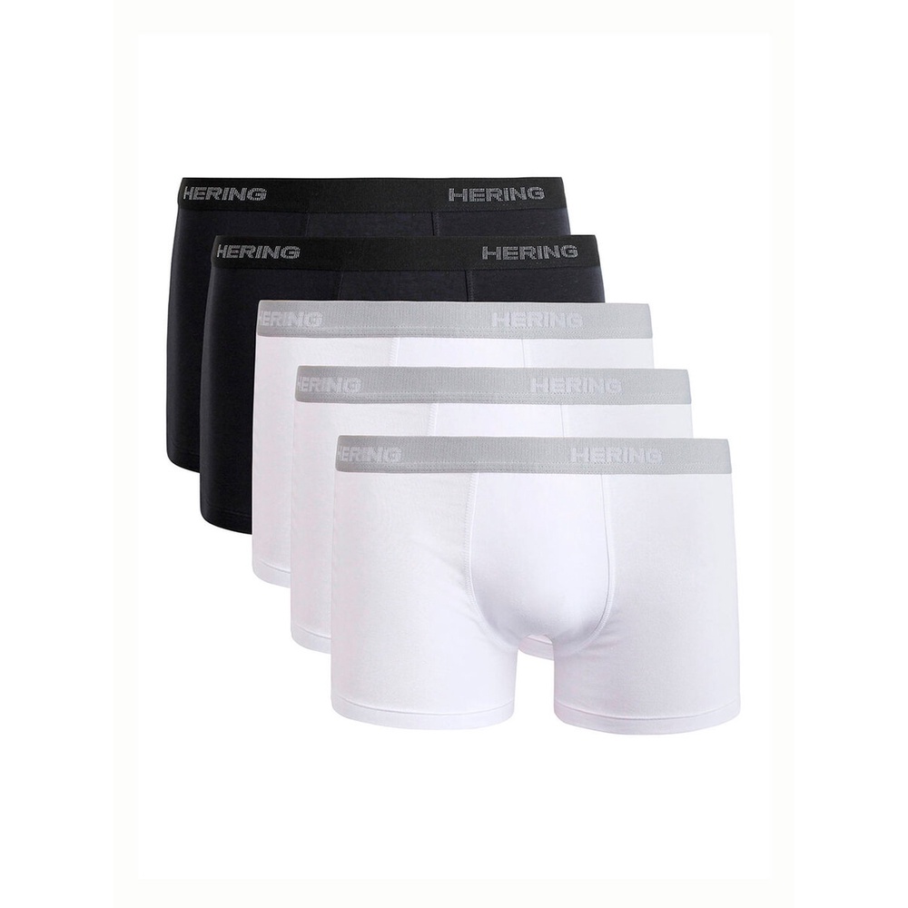 Kit com 5 Cuecas Boxer Hering 77qu - Men Clothes