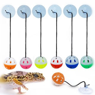 Brinquedo De Gato De Estimação , Bola De Sino Lagarto Com Ventosa