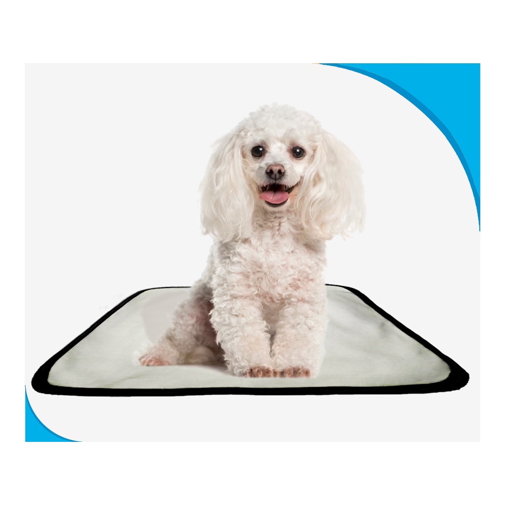 Tapete higiênico dog adestramento 1 unidade P - 50x60 cm em Oferta na Shopee