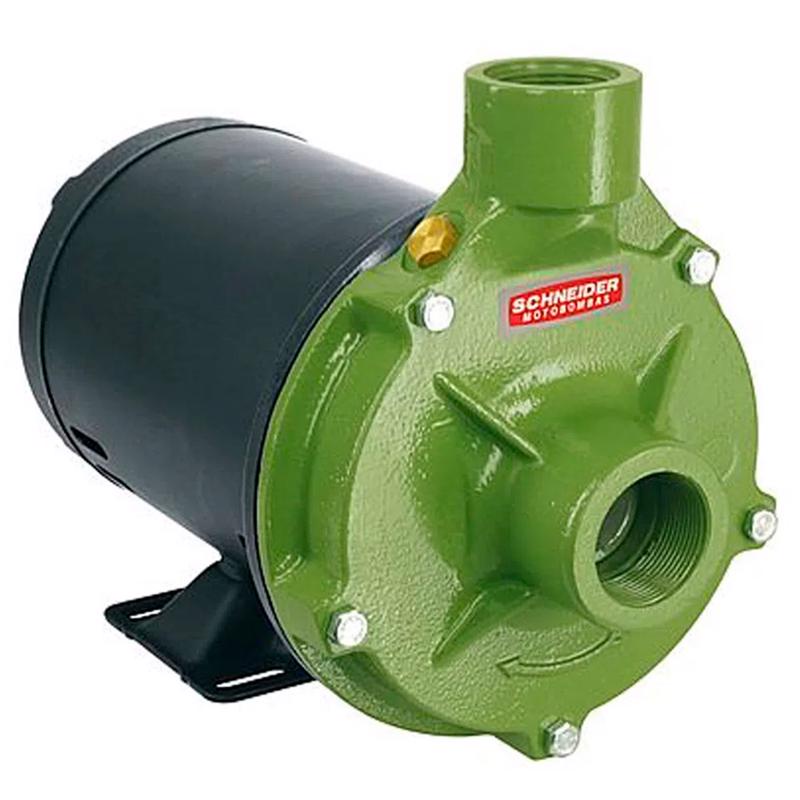Bomba Centrífuga 1,5CV Monofásica BC-92S 1C 110/220V Schneider - Home & Living