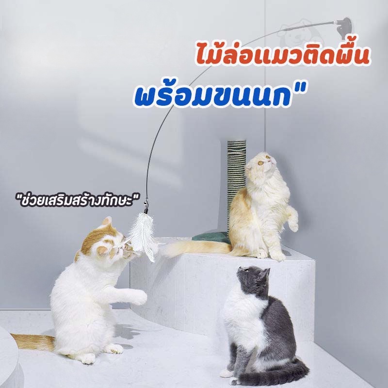 ✨😻﻿ ของเล่นล่อแมว ไม้แหย่แมว ล้อเลียน Cat Stick ไม้ตกแมว แบบปุ่มดูดสุญญากาศ ขนนก สําหรับแมว - ภาพที่ 3