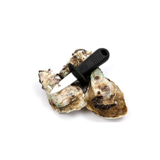 Faca P/ Abrir Ostras Mariscos Frutos Do Mar Lâmina 05cm Inox