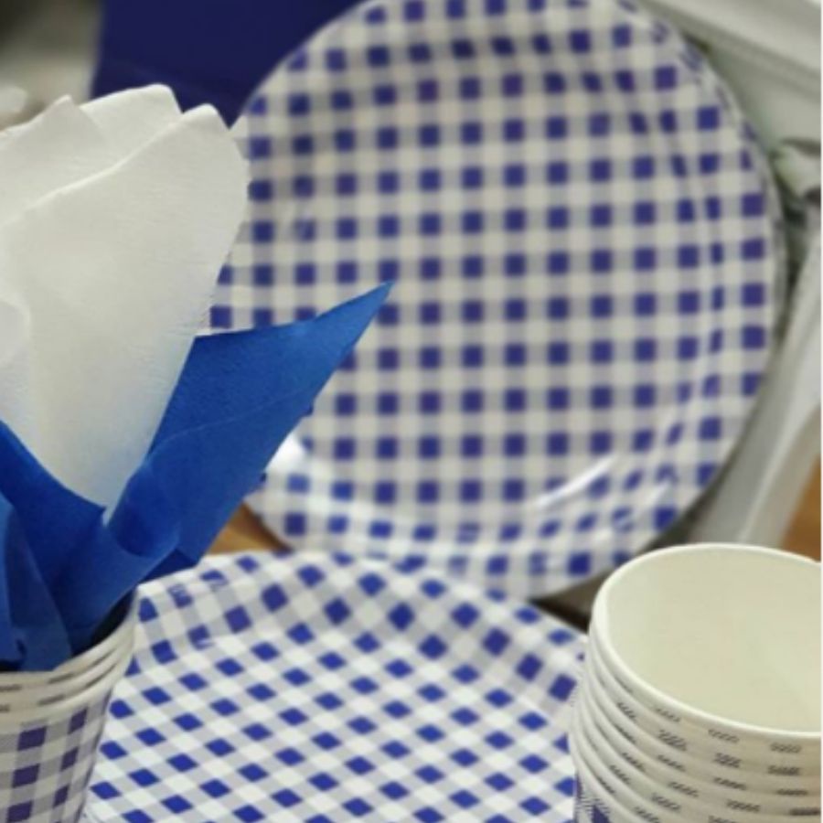Prato Papel Biodegradável Festa Junina Azul - 10 un -  18 cm - Silver Festas - Rizzo em Oferta na Shopee