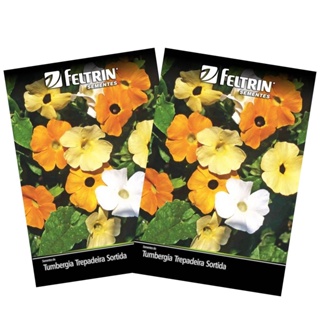 2X Sementes de Tumbergia Trepadeira (Sortida) FELTRIN em Oferta na Shopee