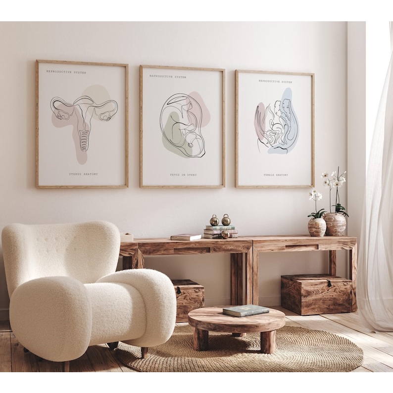 Quadro Decorativo Anatomia Humana, decoração casa Quadro Decorativo,  utero, feto, consultorio