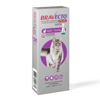 Antipulgas MSD Bravecto Plus Para Gatos De 6,24kg A 12,5kg 500mg em Oferta na Shopee