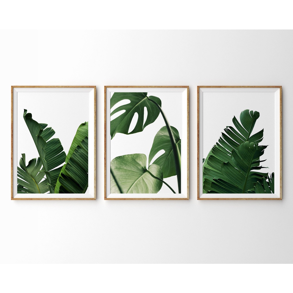 Quadro Decorativo Folhas Tropical Botânico minimalista , decoração casa Quadro Decorativo Tropical
