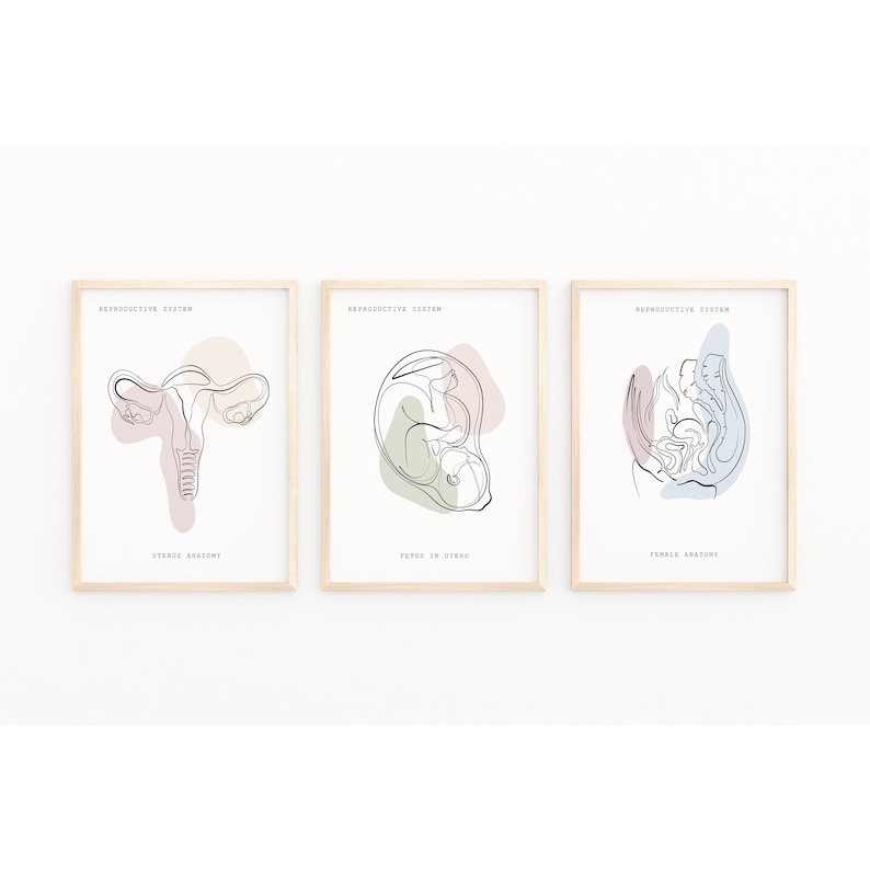 Quadro Decorativo Anatomia Humana, decoração casa Quadro Decorativo Medicina Minimalista tamanho grande Decoração para sala casa cozinha quarto Quadro decorativo Corpo Humano abstrata Moderno Decoração Corpo Humano Retro arte #33