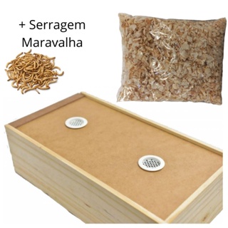 Caixa Para Criação De Tenébrio Insetos Larvas  + Maravalha em Oferta na Shopee