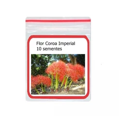 Flor Coroa Imperial ornamental 10 Sementes
