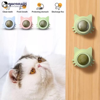 QUENNA Bola De Menta De Gato Rotativa De Parede De Acessórios De Brinquedos Para Gatos Jogos Catnip Licking Snacks Mint Freshen Breath Pet Supplies L9U1