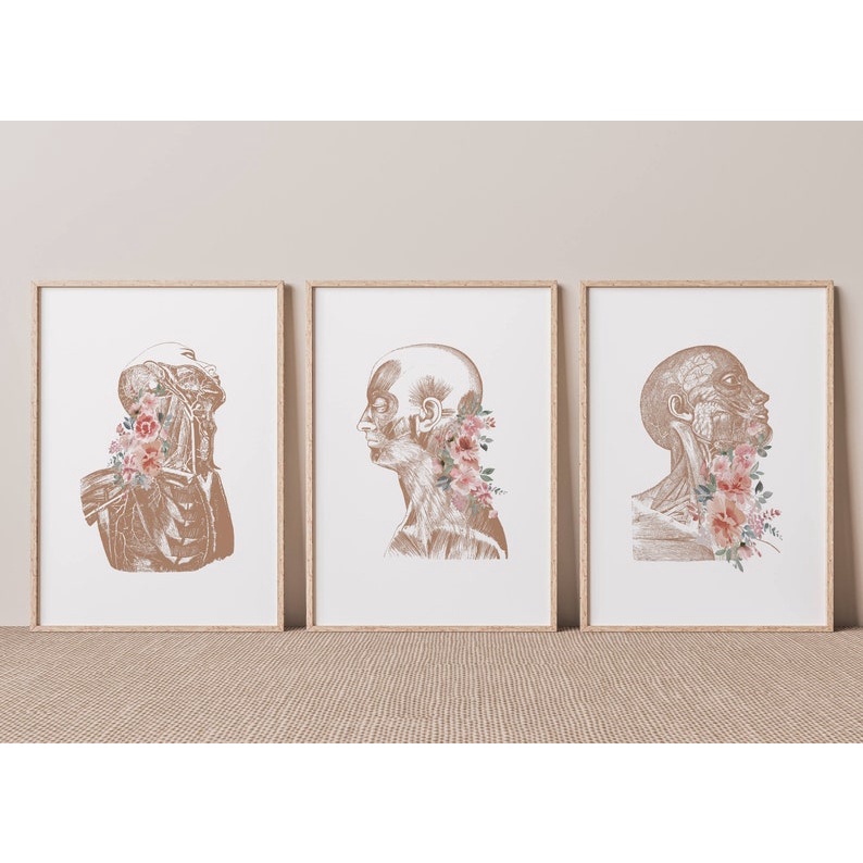 Quadro Decorativo Anatomia Humana, decoração casa Quadro Decorativo Medicina Minimalista tamanho grande Decoração para sala casa cozinha quarto