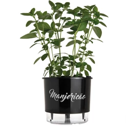 Vaso Autoirrigável N 03 Manjericão Preto - Médio - Coleção Gourmet da Raiz