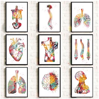 Quadro decorativo anatomia humana músculos Conjunto de Quadros anatomia humana músculos decoração anatomia humana músculos quadros decorativos anatomia humana músculos
