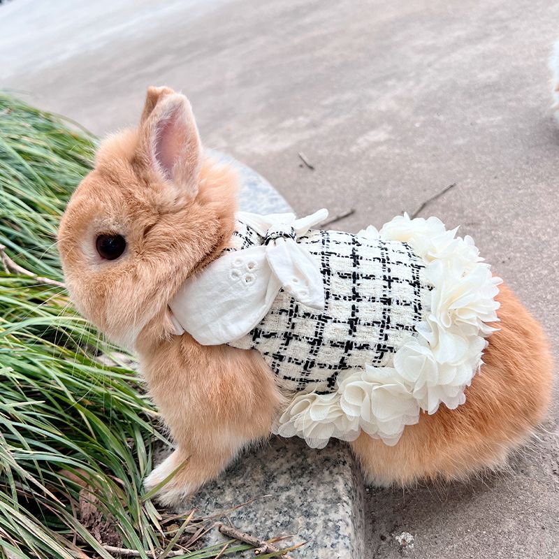 Moda Coelho Cobaias Roupas Com Arnês Ao Ar Livre Pet Arreios E Trela Conjunto Para Pequenos Animais Chinchilas Terno