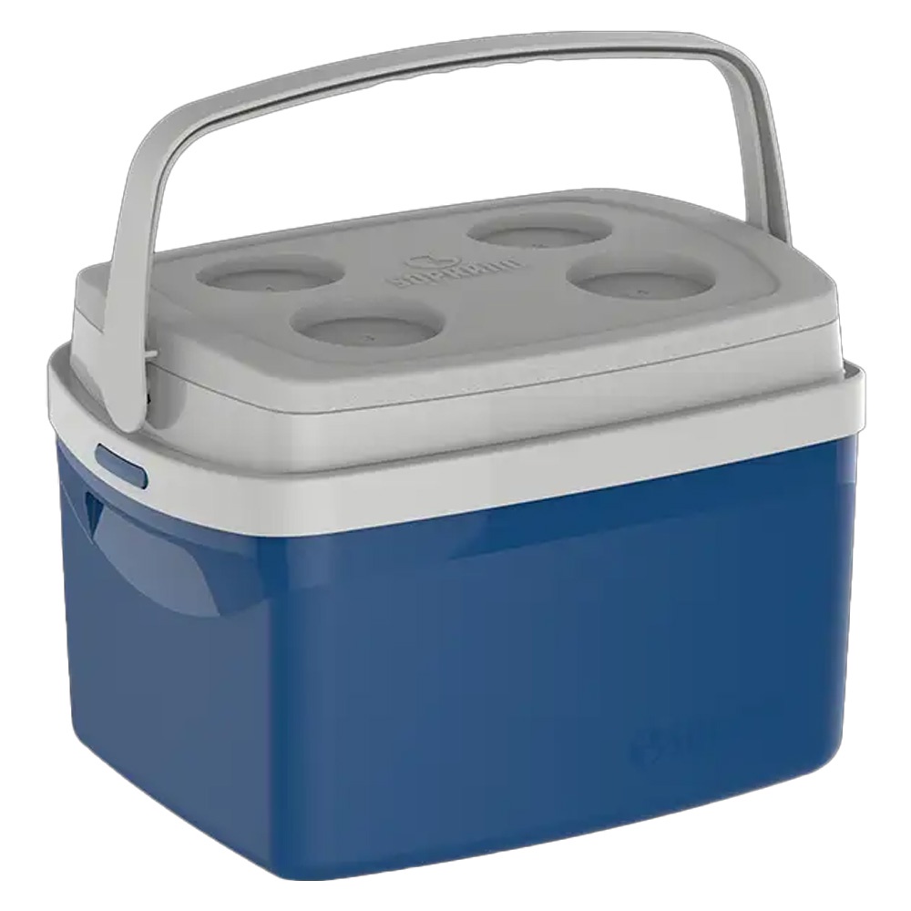 Caixa Cooler Termica Tropical 12 L com Alça Camping, Pesca, Tampa com Porta Copo - Sports & Outdoors