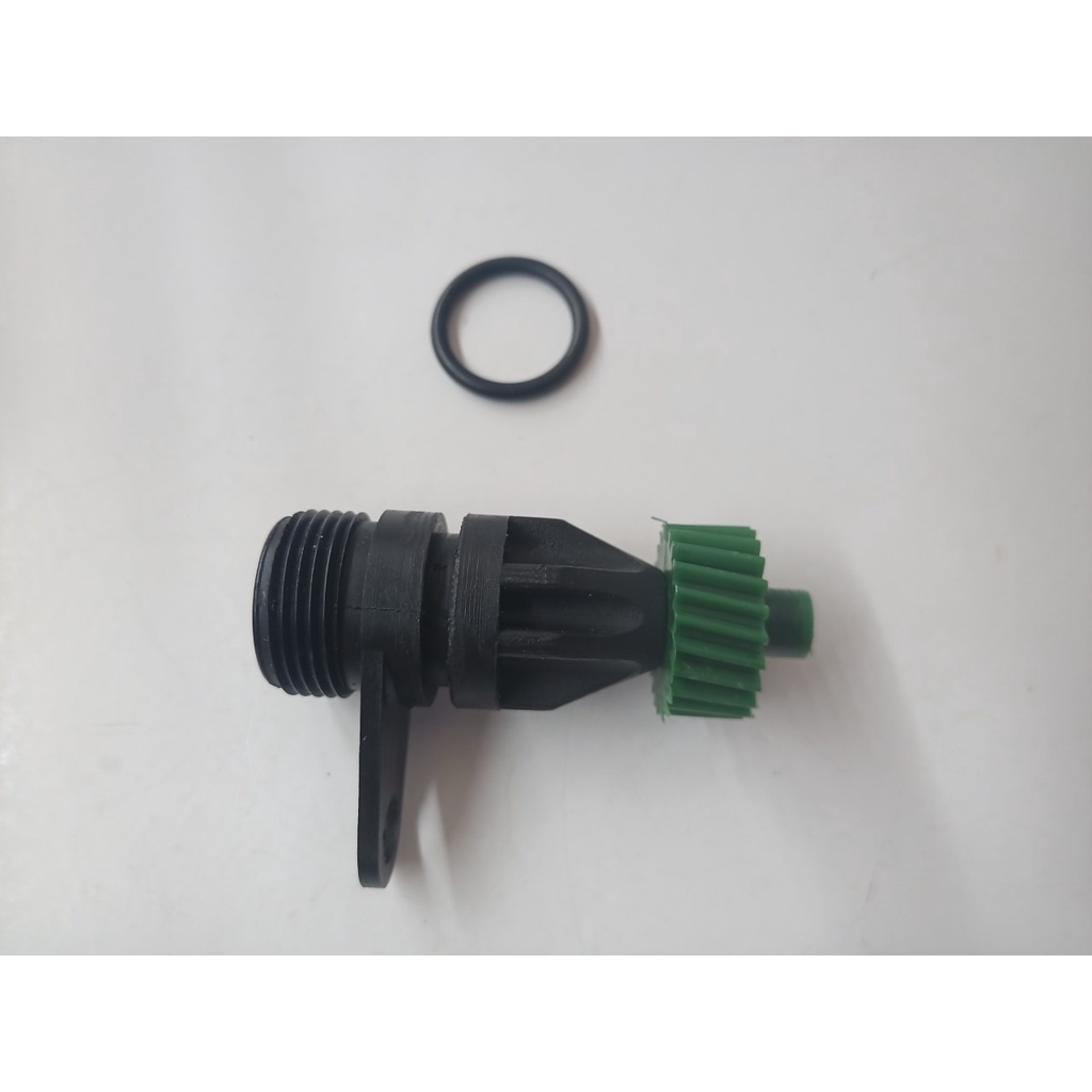 Pinhao Verde: Guia Completo e Onde Comprar | BuscaProdutos