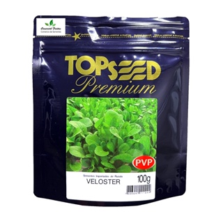 Sementes de Rúcula Veloster Pcte C/ 100 Gramas em Oferta na Shopee