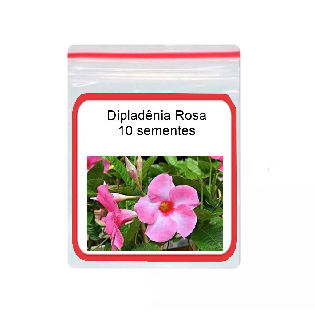 Trepadeira Dipladênia Rosa flor 10 Sementes em Oferta na Shopee