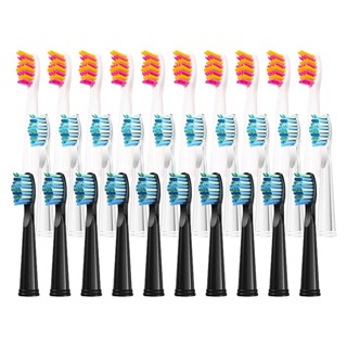 10Pcs Cabeças De Escova Substituíveis Refil De Cerdas Dupont Para Dentes Elétrica Seago/Fairywill FW/SG 507/508/515/551/917/959