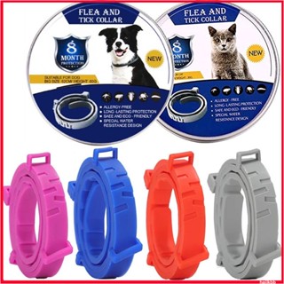 Coleira Antiparasítica Extensível Para Cães De Estimação Personalizada Anti-Pulgas E Mosquito De Carrapato Cachorro Gato Grande