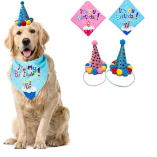 Kit Festa de Aniversário para Cachorro Gato Pet 2 pçs Bandana e Chapéu Azul Rosa Divertido