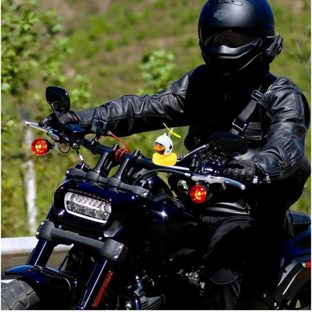 Patinho Decoração de bicicleta motocicleta carro Com pisca Acessórios em Oferta na Shopee