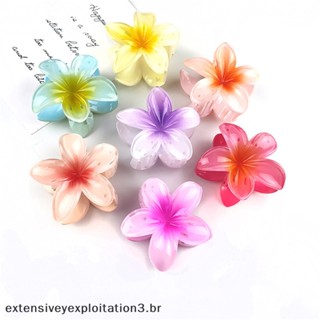 EE Clipes De Garra De Cabelo De Flor Grande Havaiana Fino E Grosso , Acessórios .