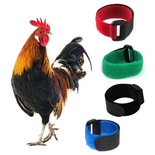 XI 2 Pcs Frango Neckband Galo Coleira Ajustável Barulhento Anti-Asssar